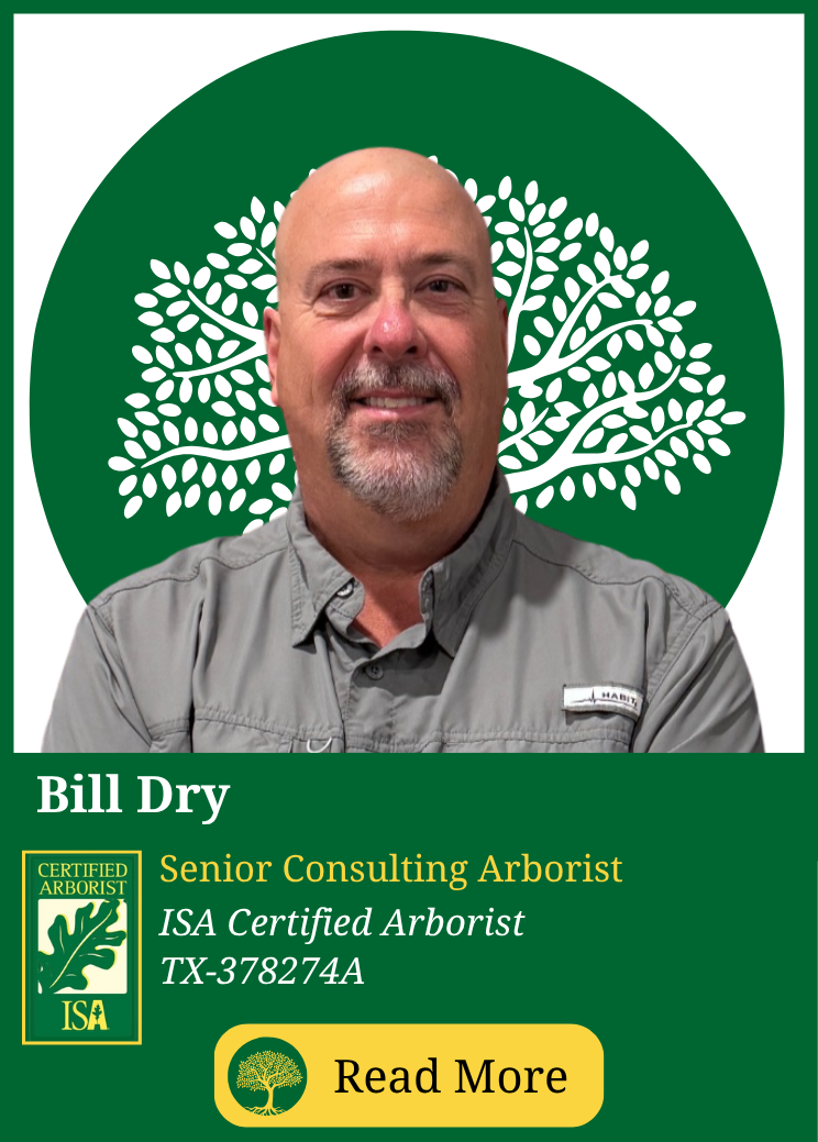 Bill Dry, ISA Certified Arborist and Senior Consulting Arborist at Eric Putnam BCMA