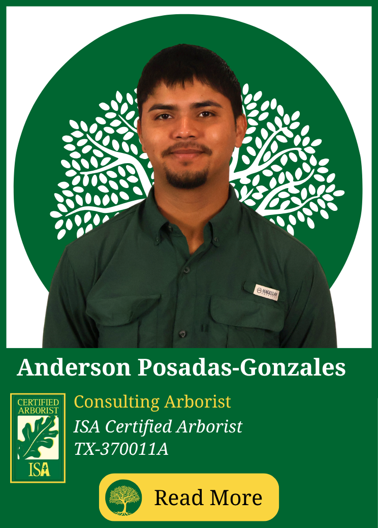 Anderson Posadas-Gonzales, ISA Certified Arborist and Consulting Arborist at Eric Putnam BCMA
