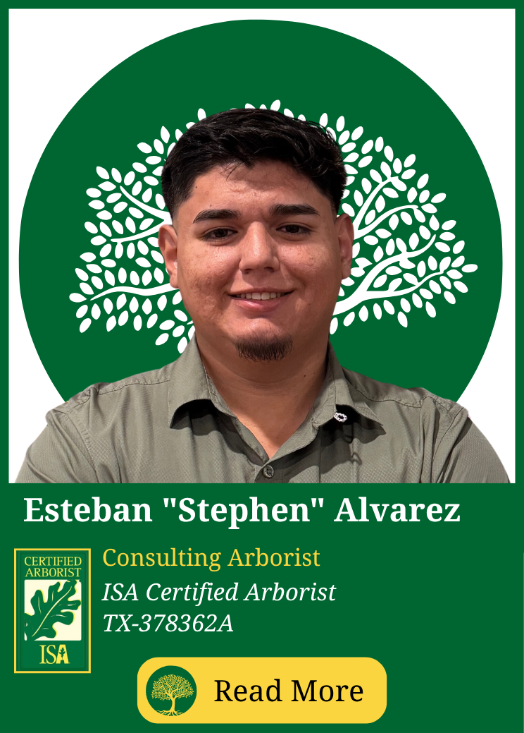 Esteban Alvarez, ISA Certified Arborist and Consulting Arborist at Eric Putnam BCMA
