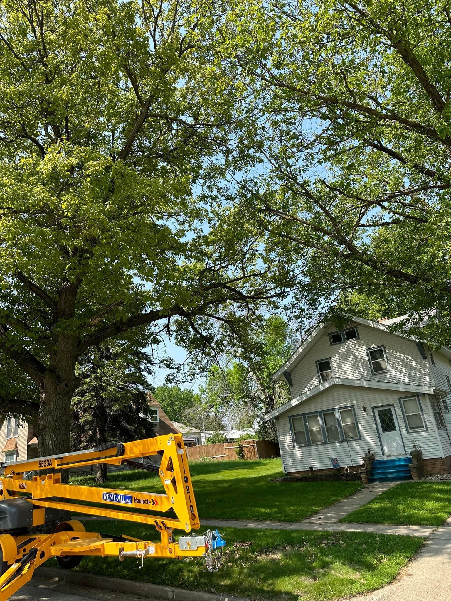 Cove Arborist