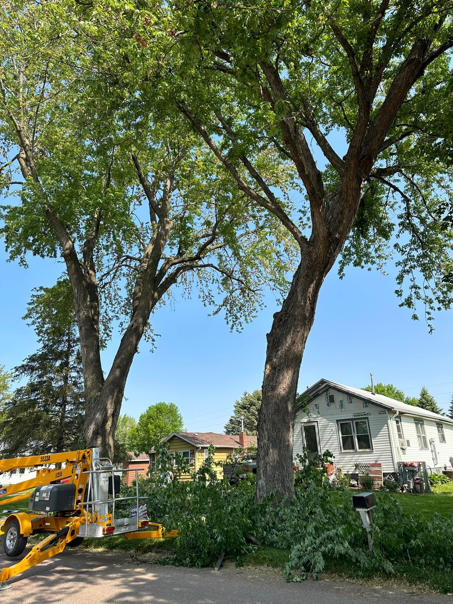 Fulshear Tree Service