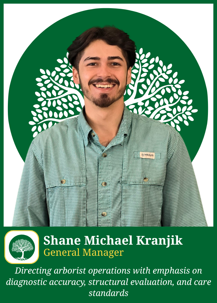 Office Team, Shane Krajnik