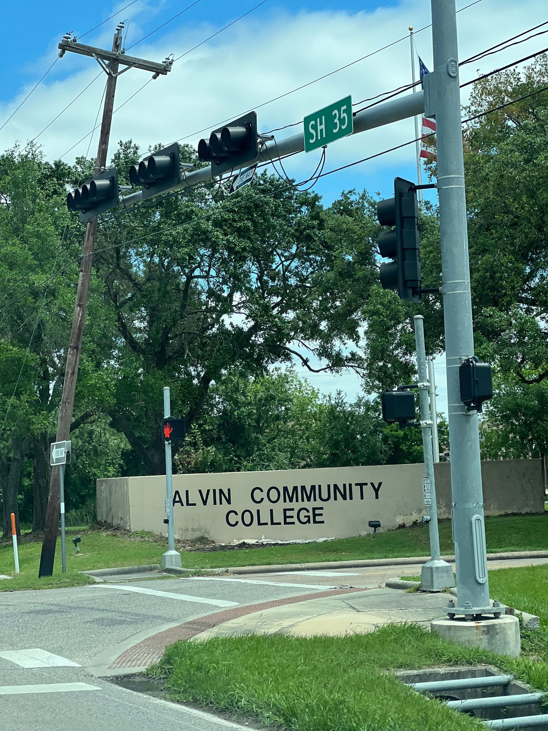 Alvin TX Tree Care