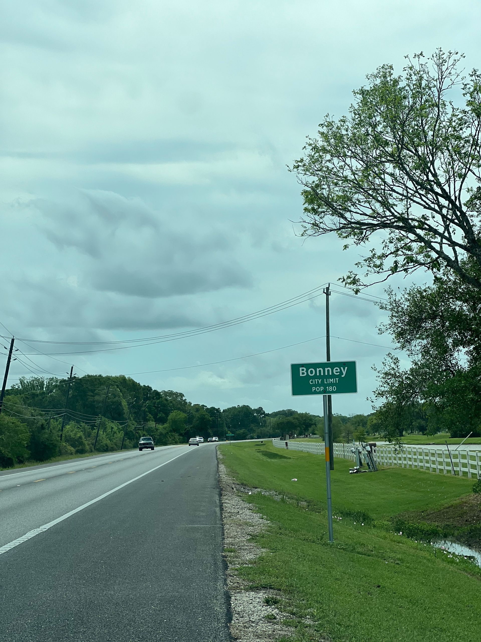 Bonney TX Tree Health Care