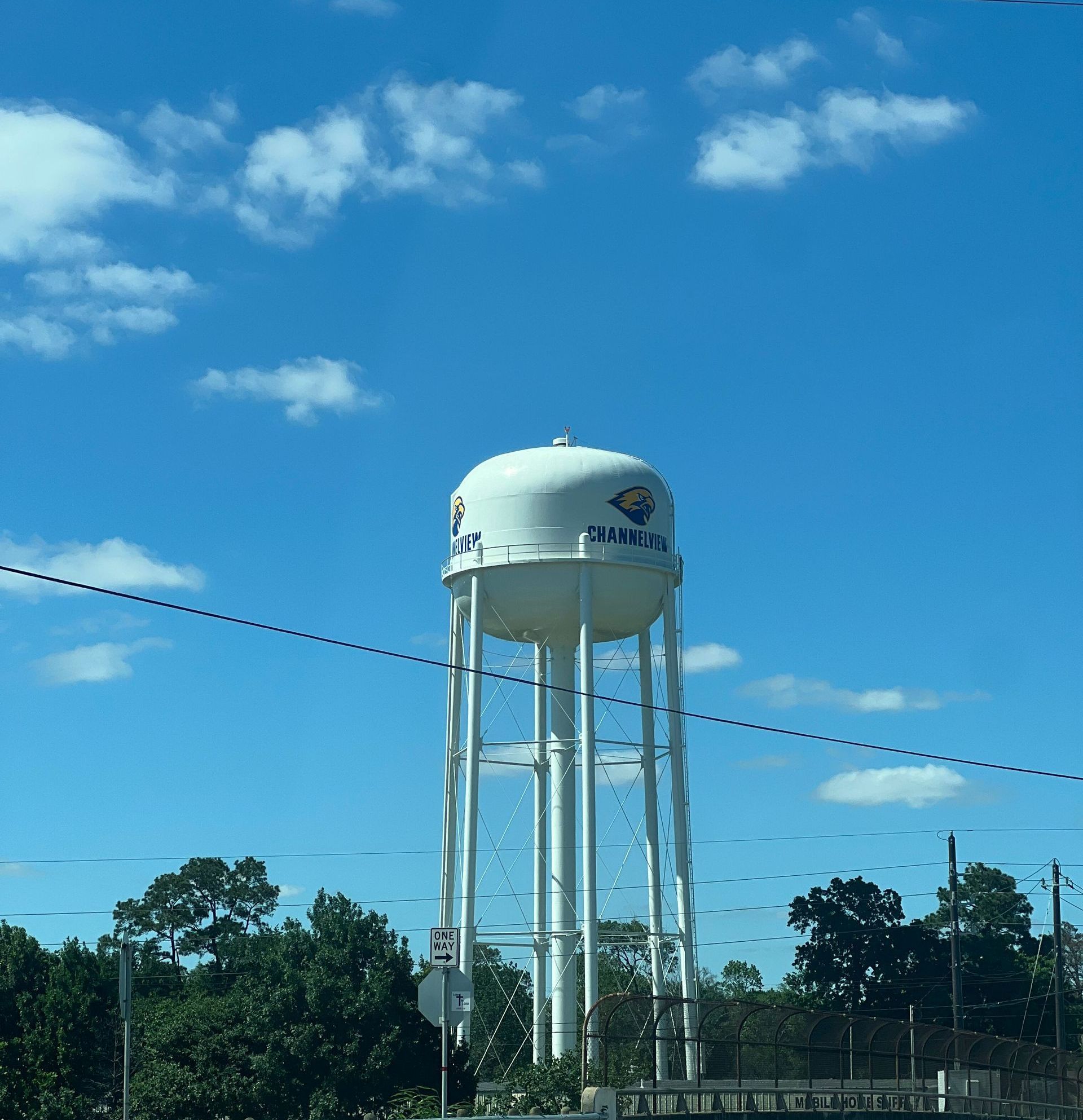 Channelview TX Tree Service