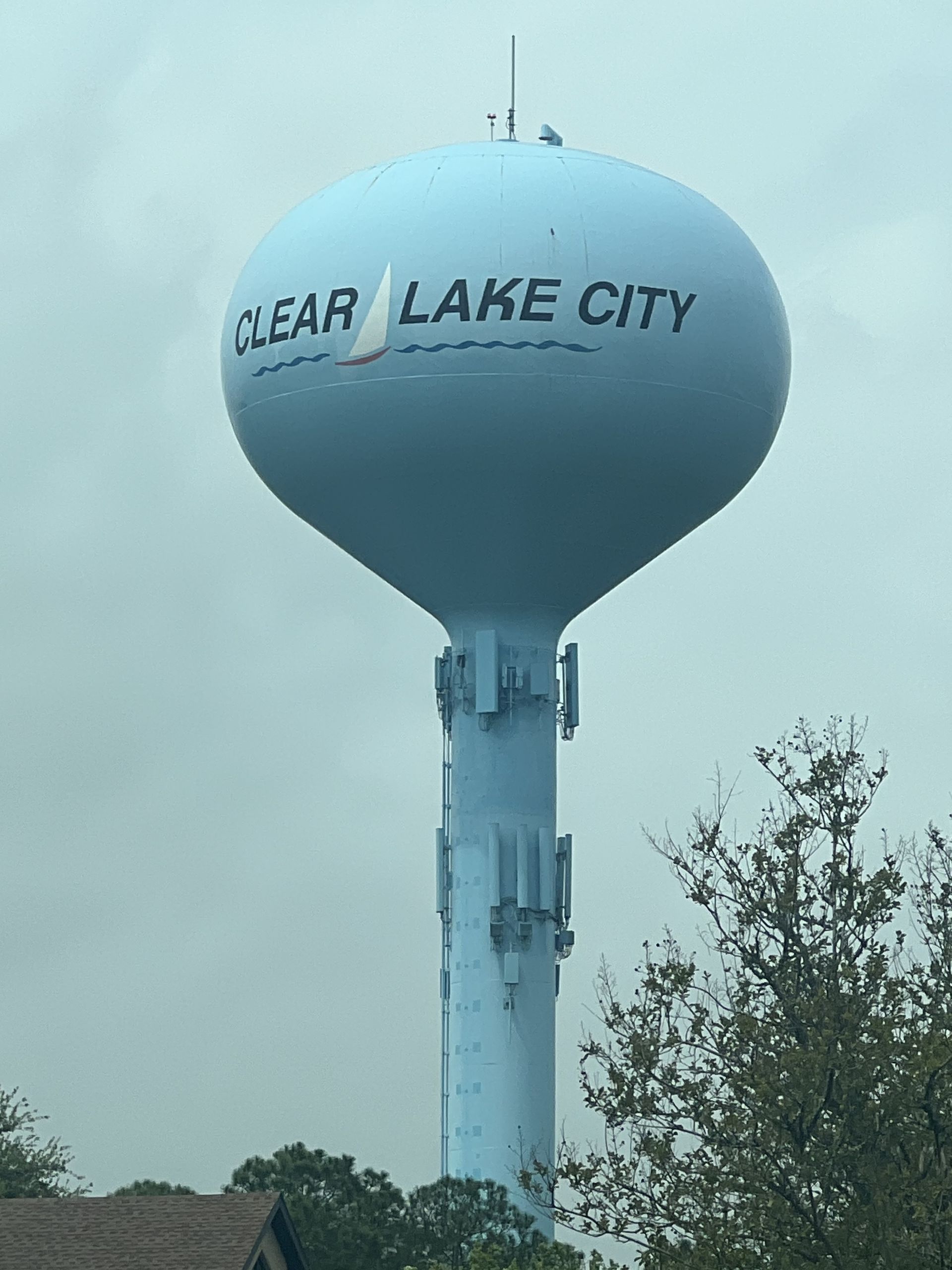 Clear Lake City tx Tree Service