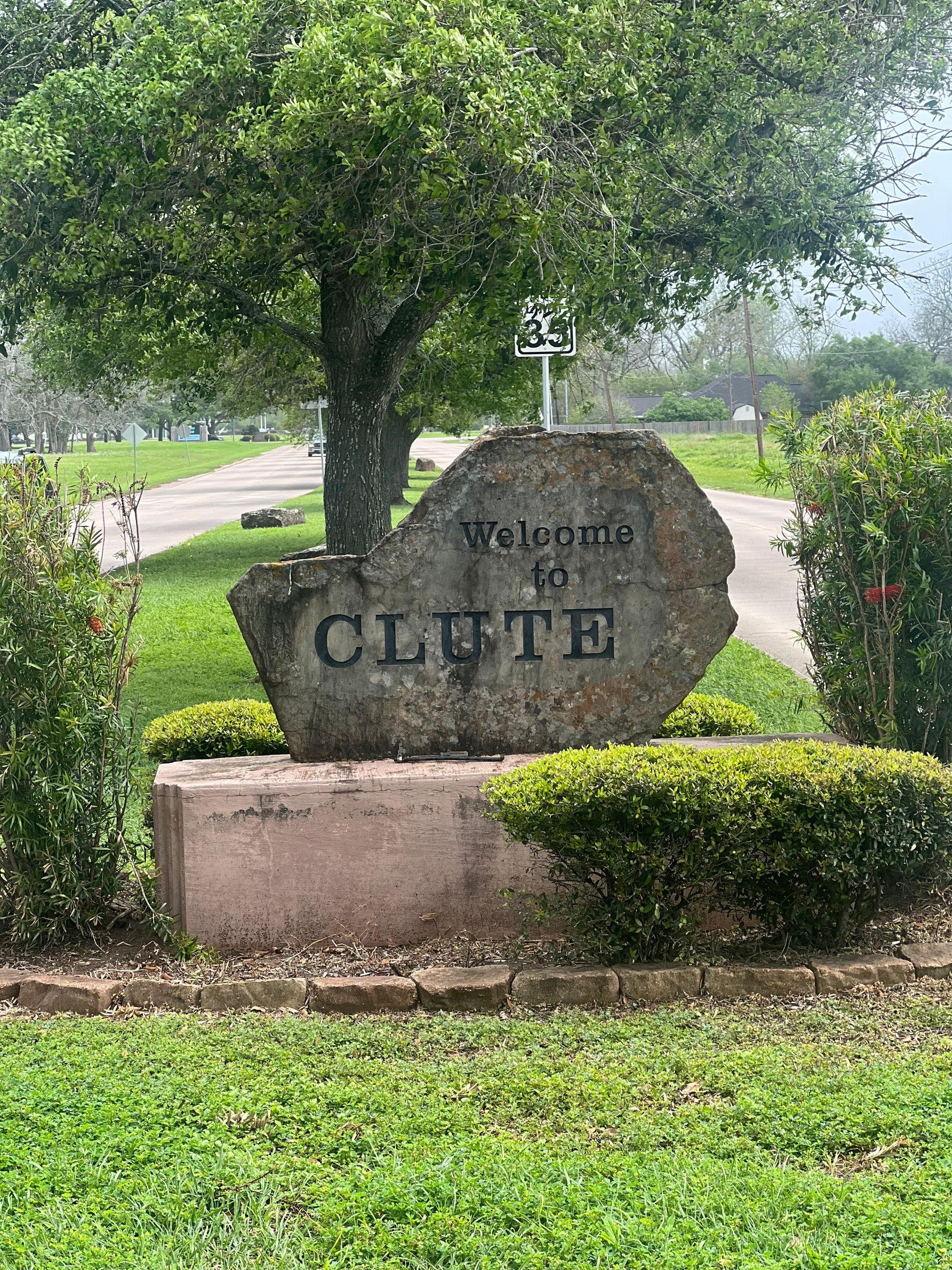 Clute TX Tree Service