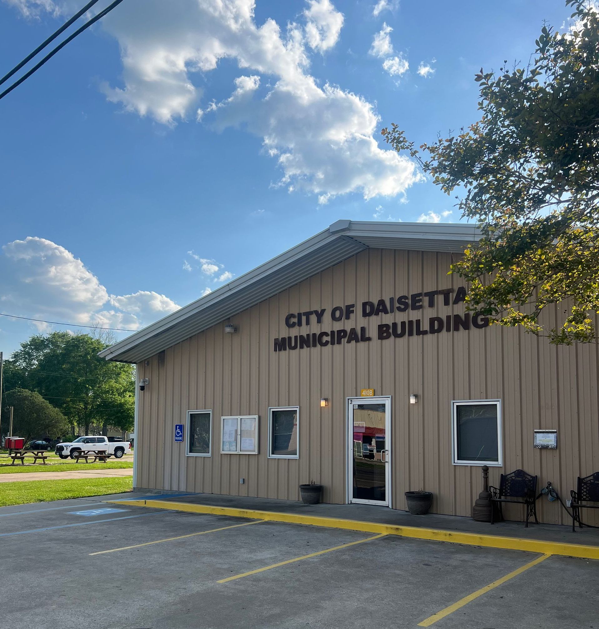 Daisetta TX Tree Service