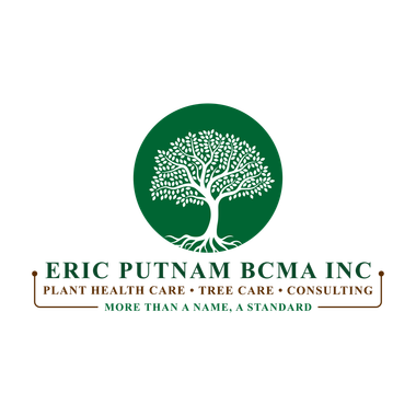 Eric Putnam BCMA Inc. Logo