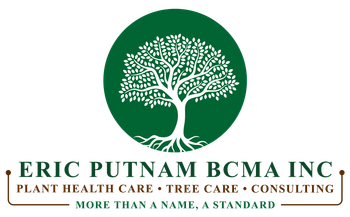 Eric Putnam BCMA Inc. logo