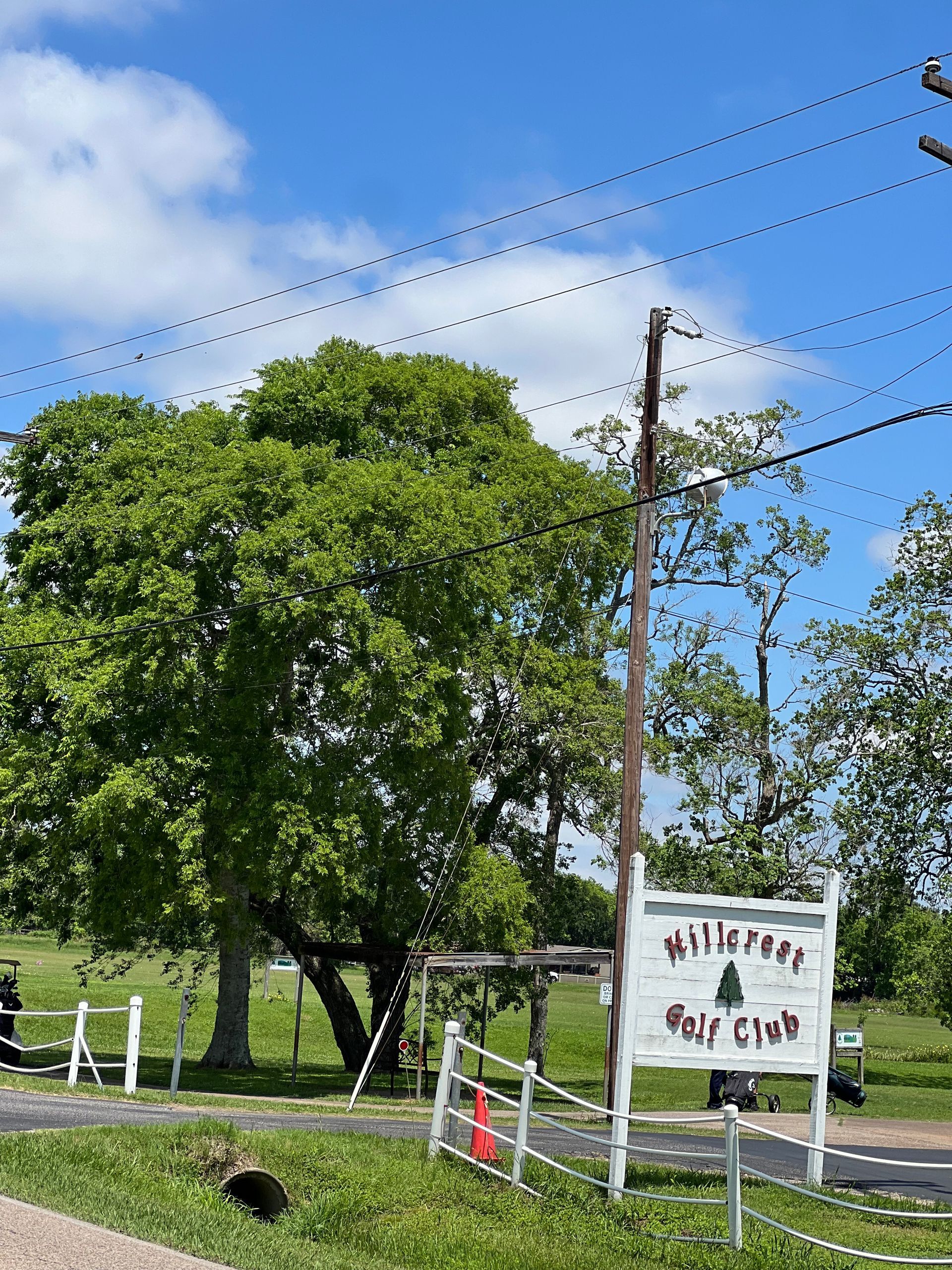 Hillcrest TX Tree Care