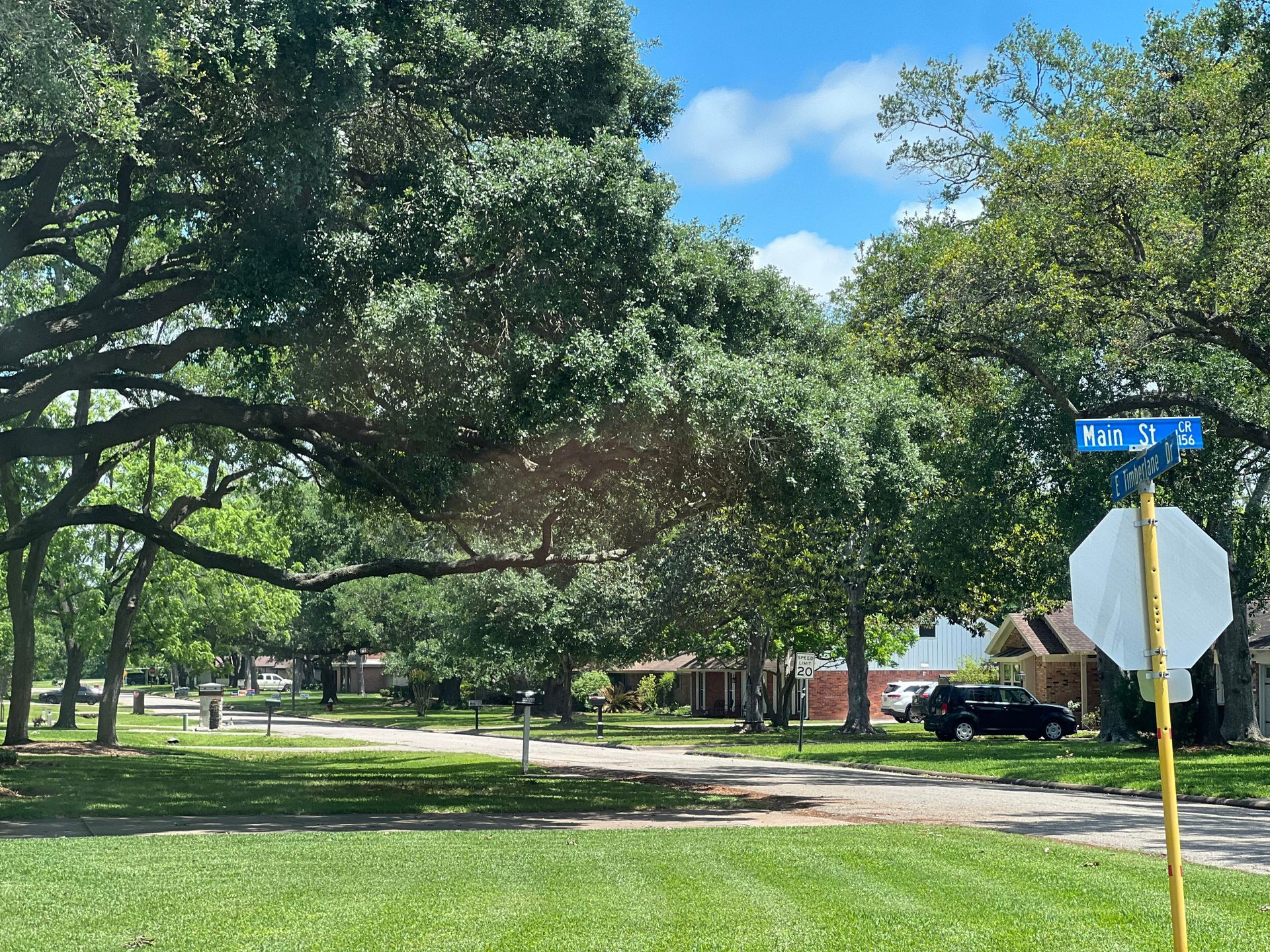 Hillcrest TX Tree Service