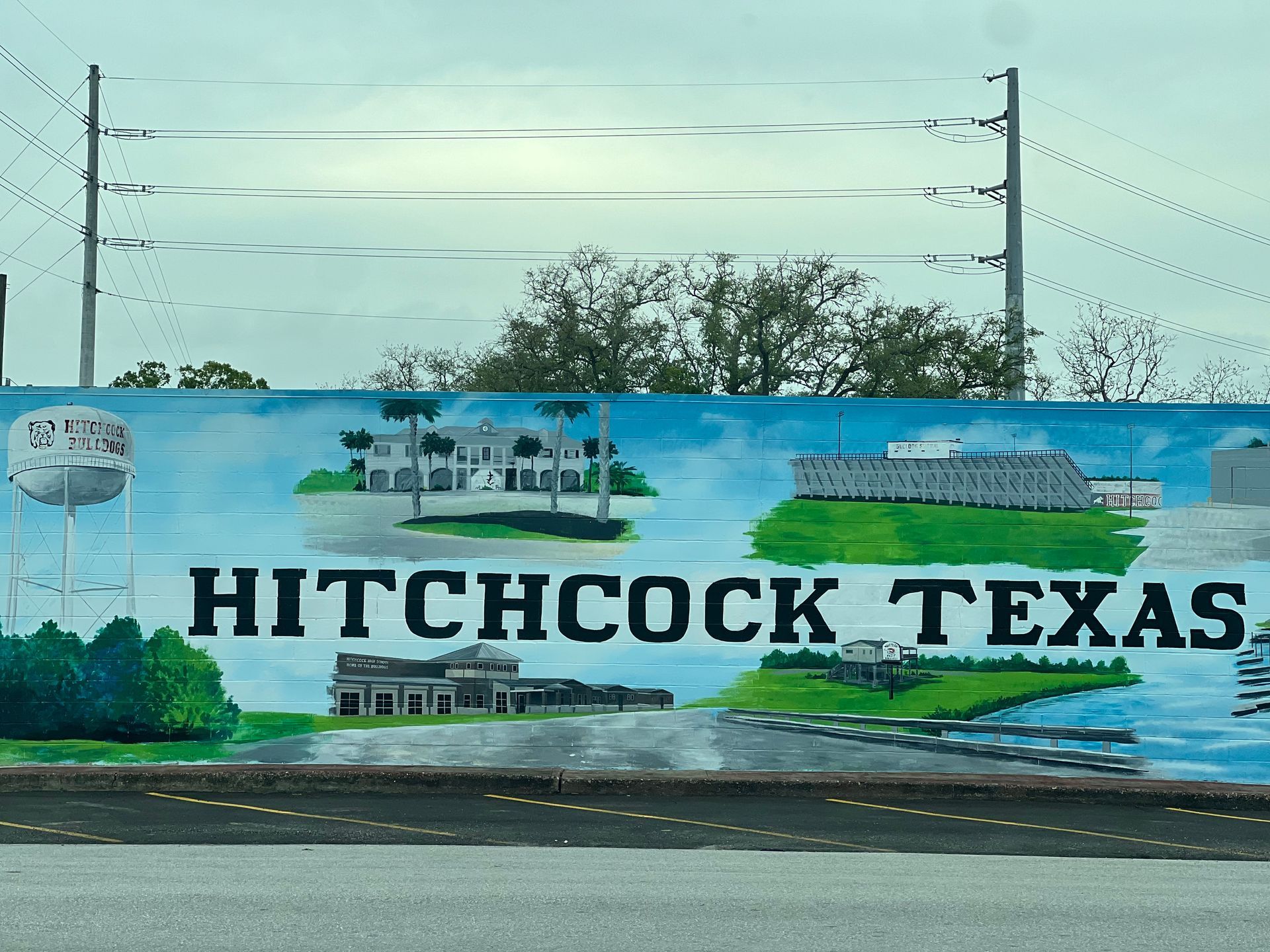 Hitchcock Tx Tree Service