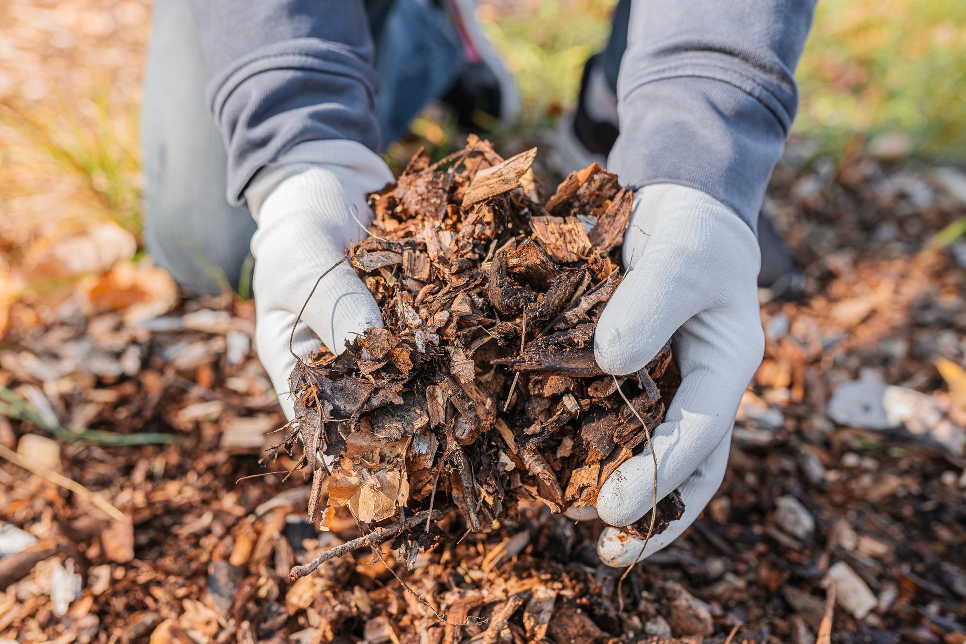 This image shows someone picking up mulch with gloves because it is dirty mulch