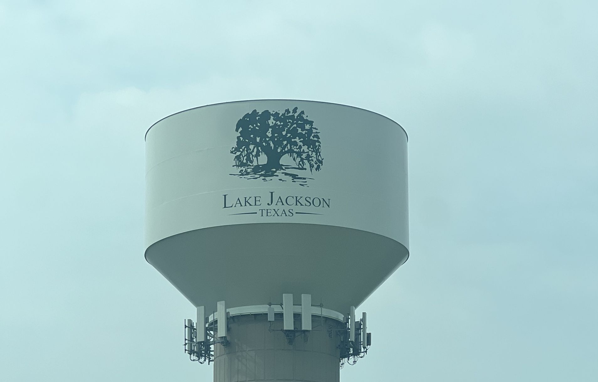 Lake Jackson Tree Service