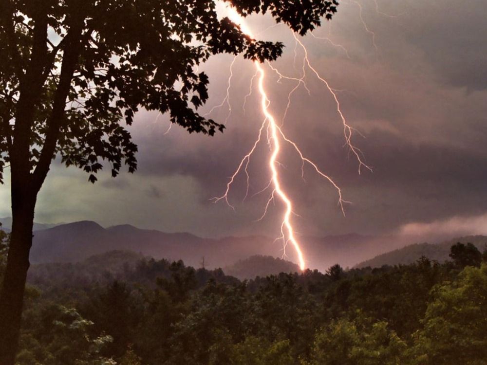 This photo shows a large lightning strike in a large forest that is fertilizing many trees.