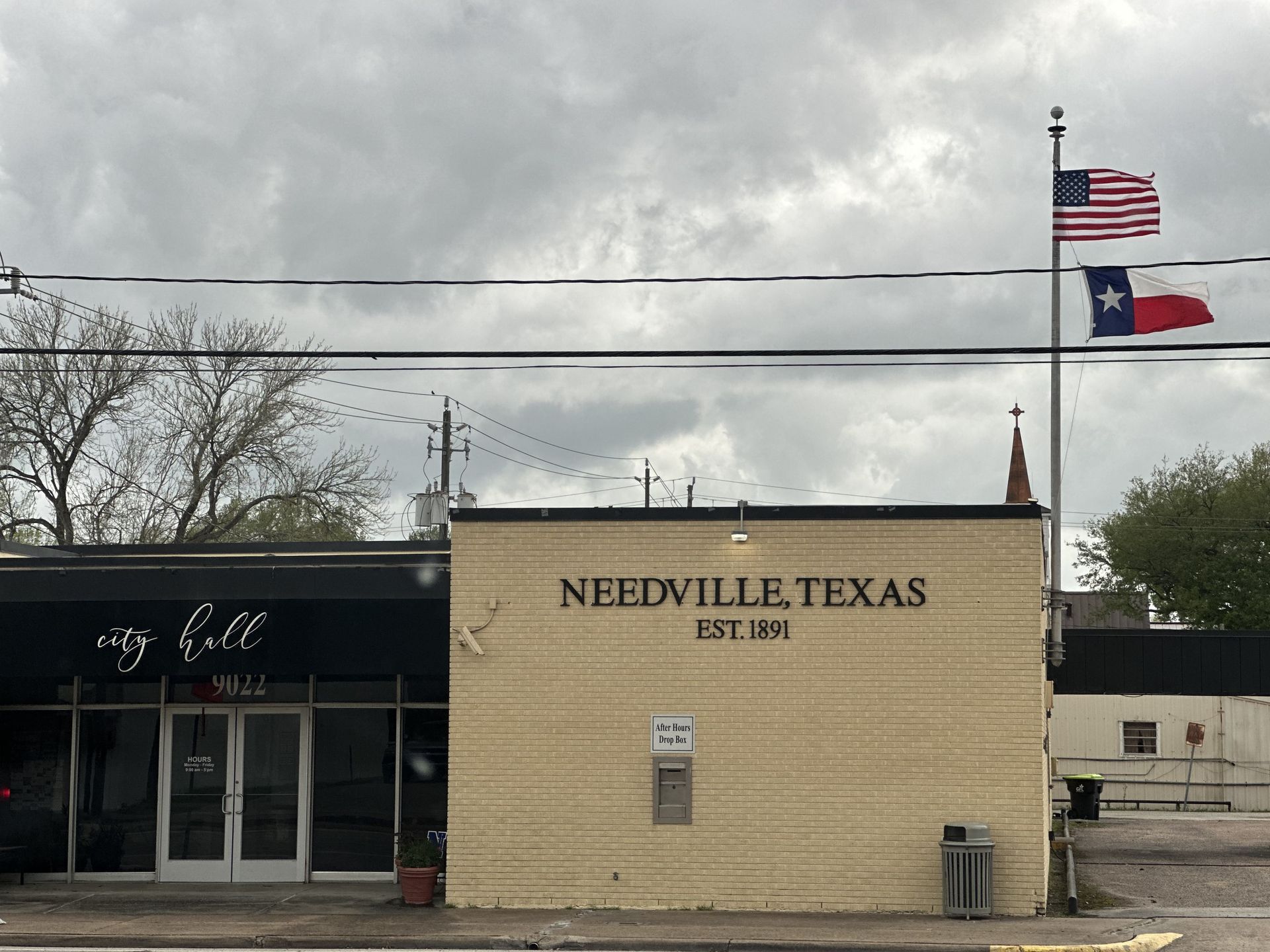 Needville Tree Service Arborist