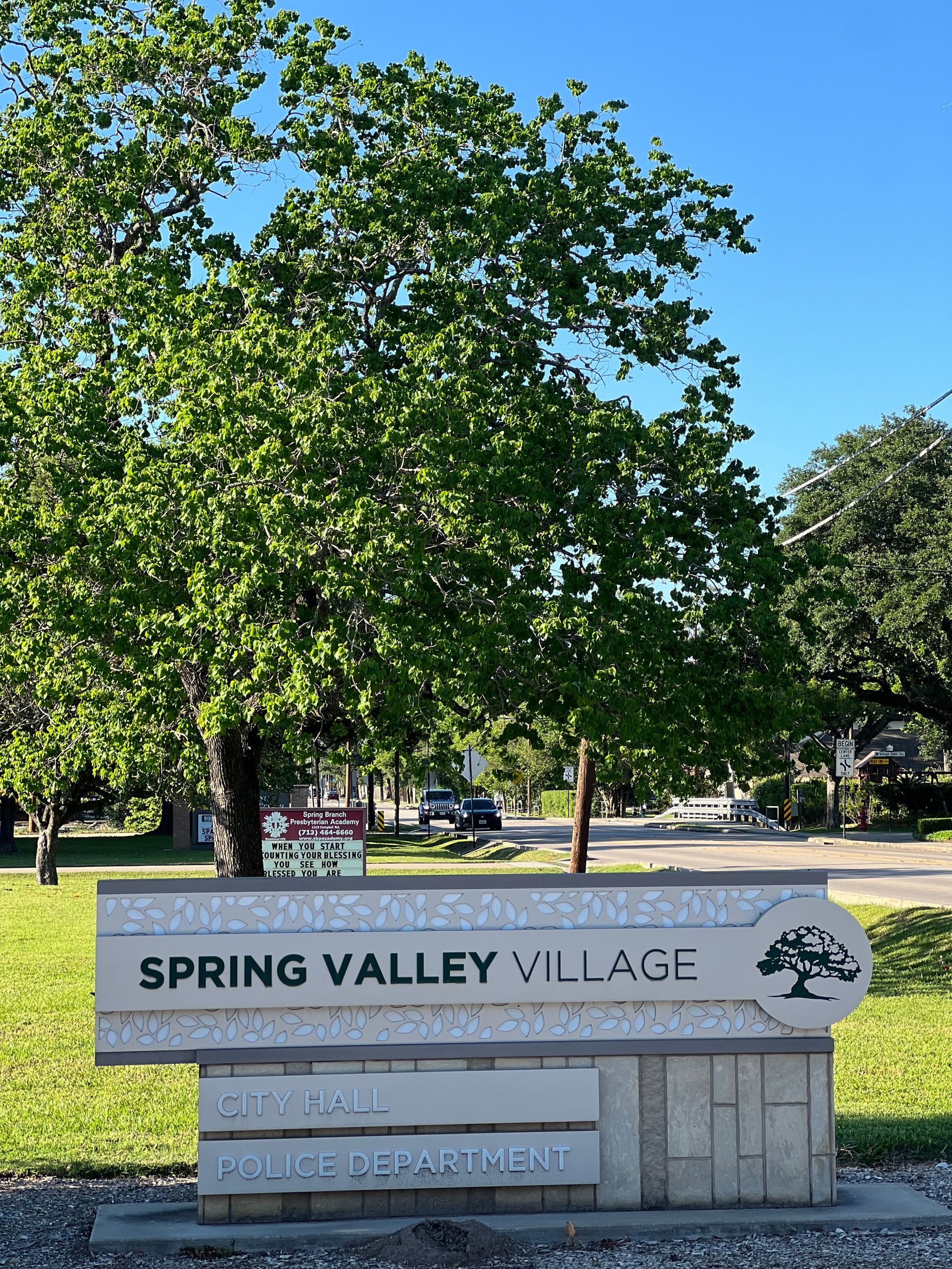 Spring Valley TX Tree Service