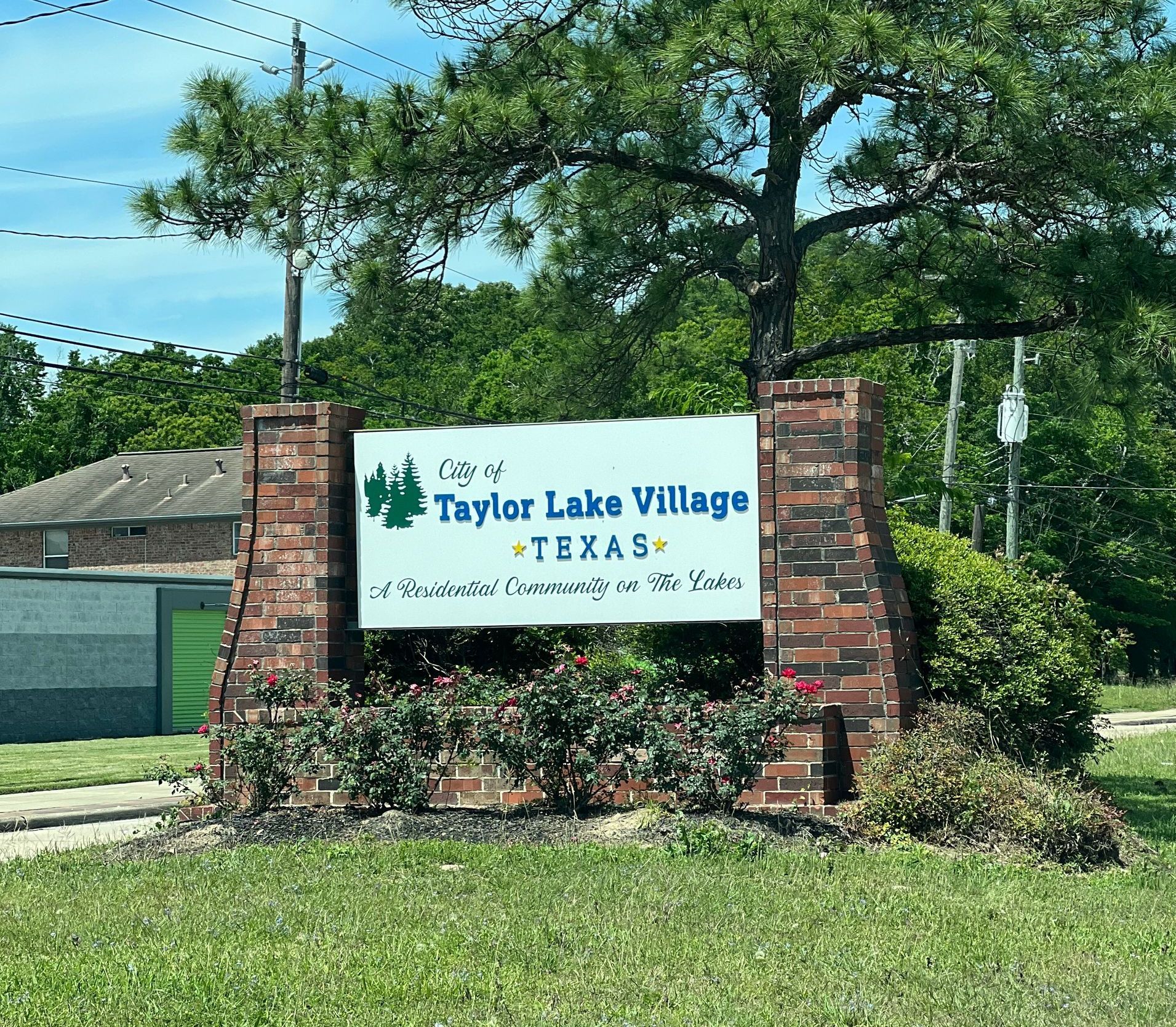 Taylor Lake Village TX Tree Service