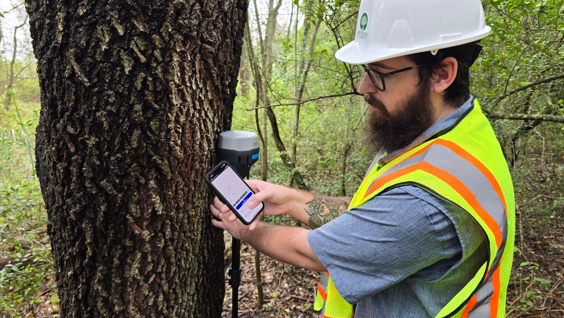 Plotting a point of a tree on the map of our tree survey