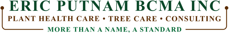 Eric Putnam BCMA Inc. Logo
