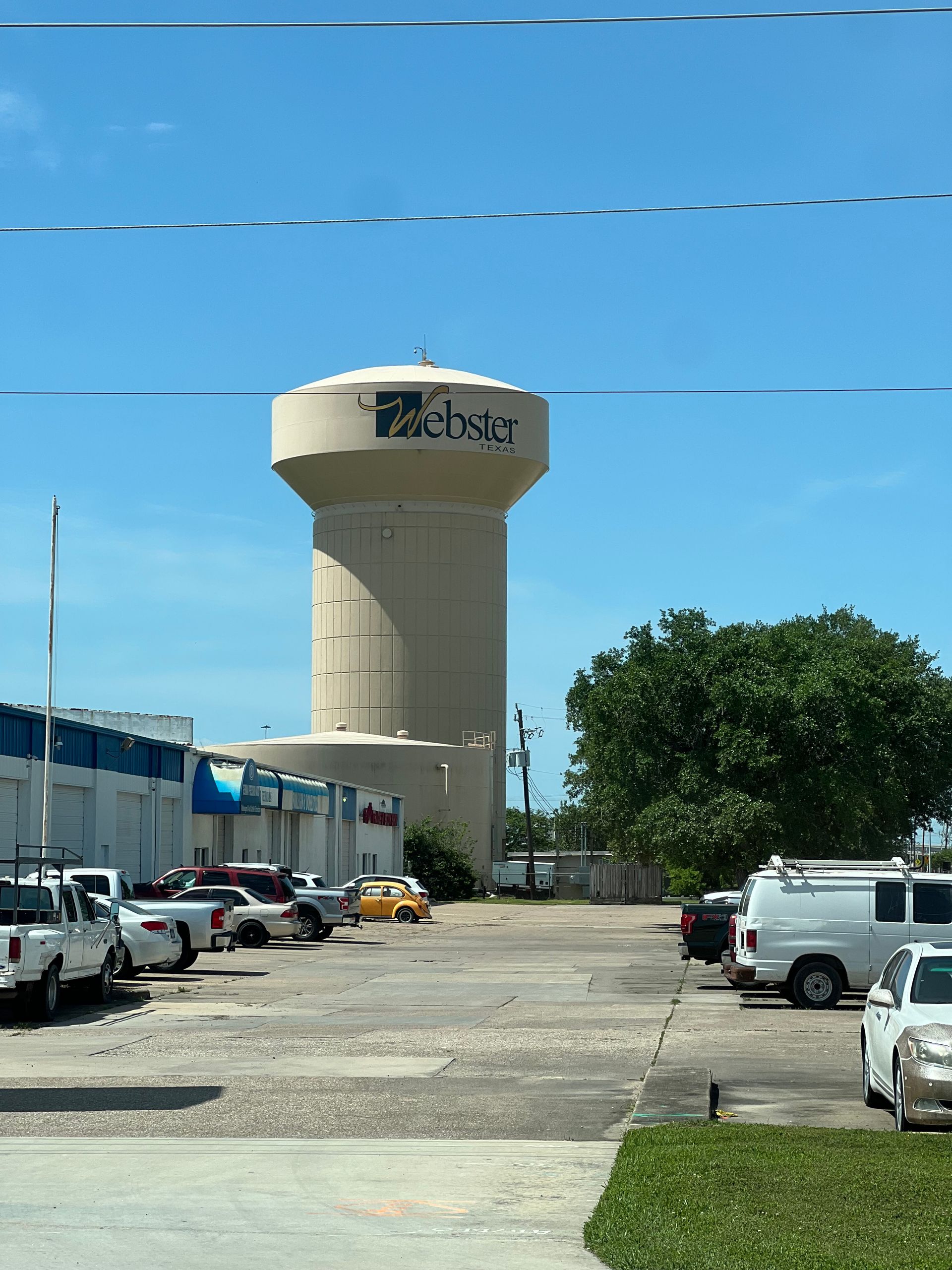 Webster TX Tree Service