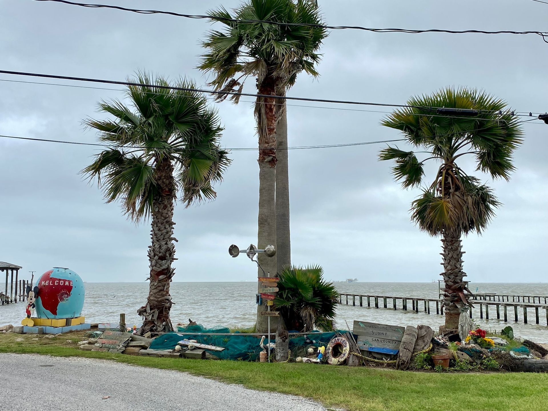 San Leon Tree Health Care