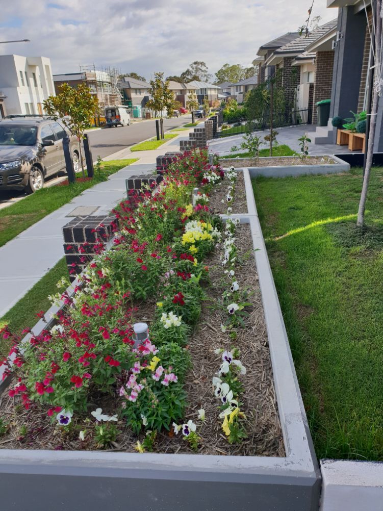 a row of flowers are growing in a garden in front of a house .