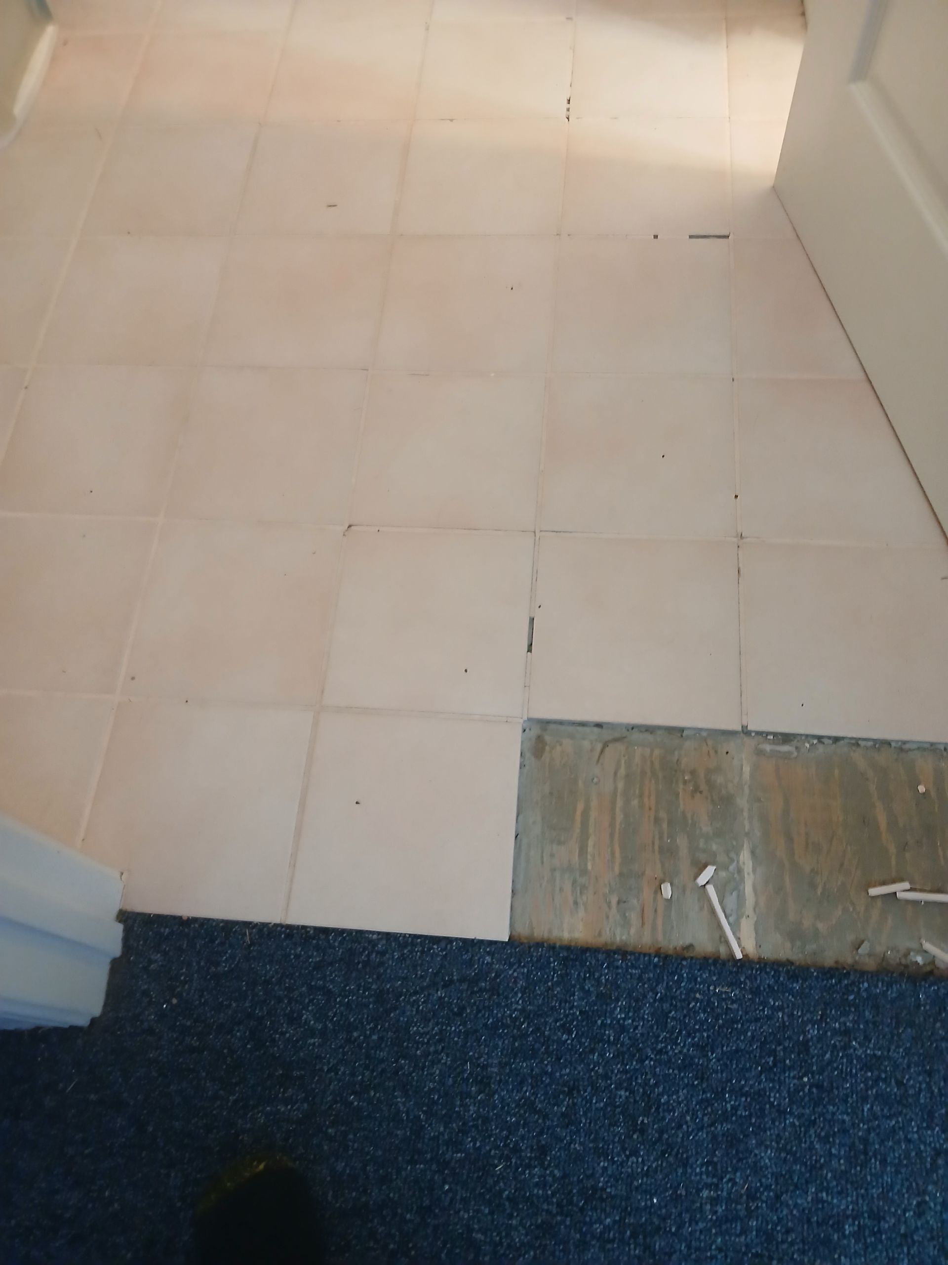 White tile floor with a missing section, next to a blue carpeted area.