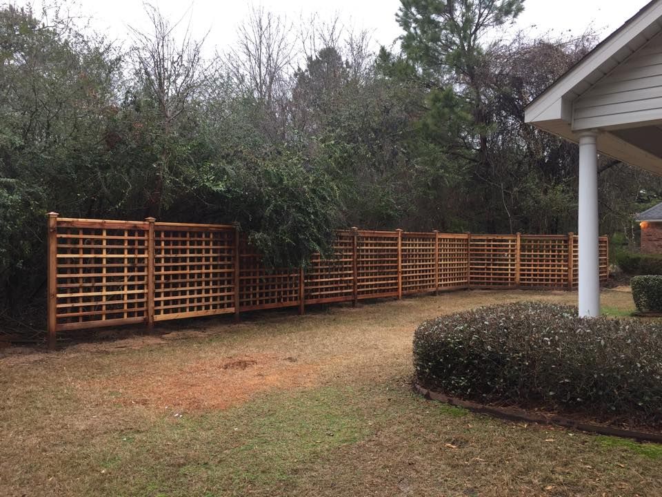 Wooden lattice fence curves through a yard with overgrown bushes, beside a house with a white column.