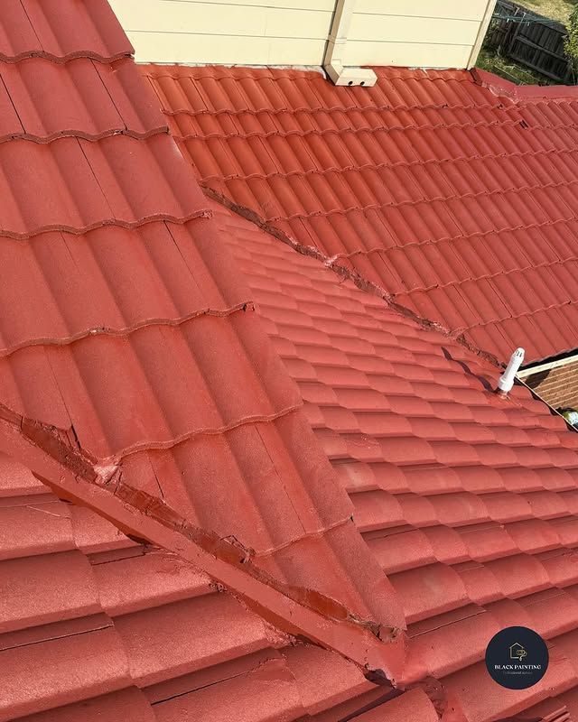 Roof painting services