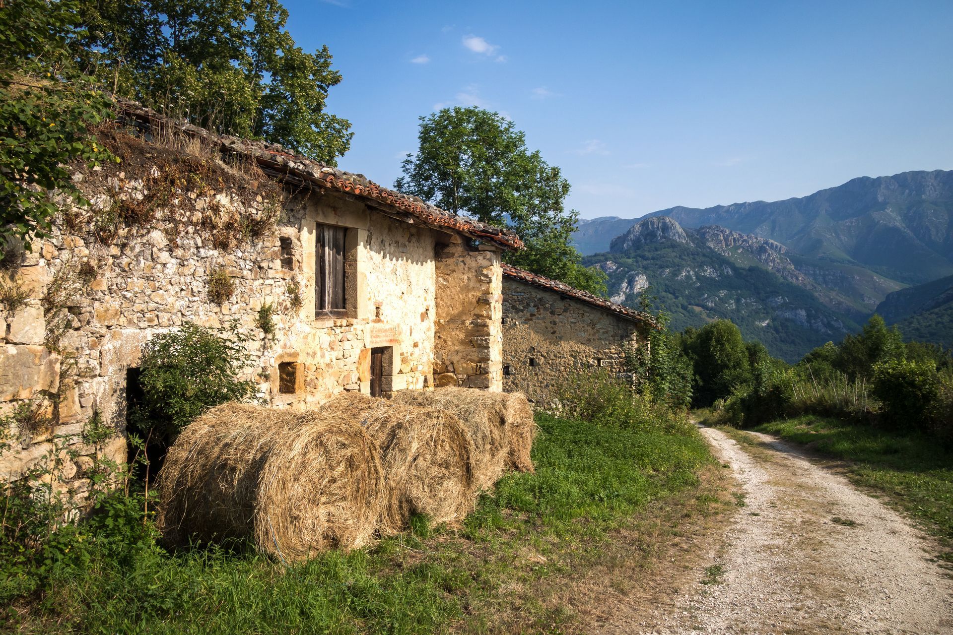 Agriturismo immerso nel verde