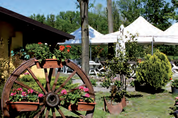 Agriturismo Soldanella Rosta