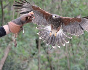 Agriturismo La Stella Polare