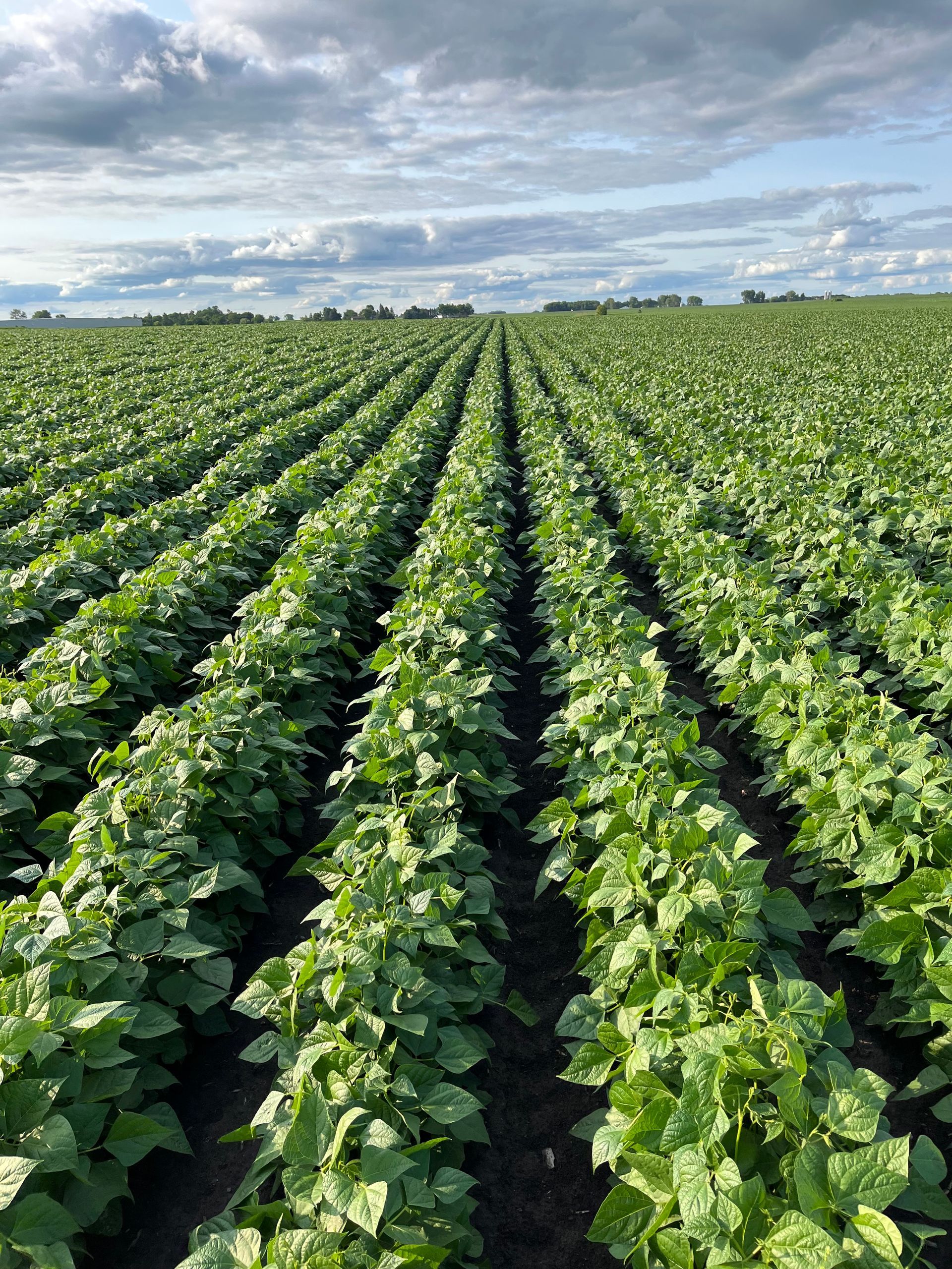  Axis Seed Dealer Next Level Ag Solutions