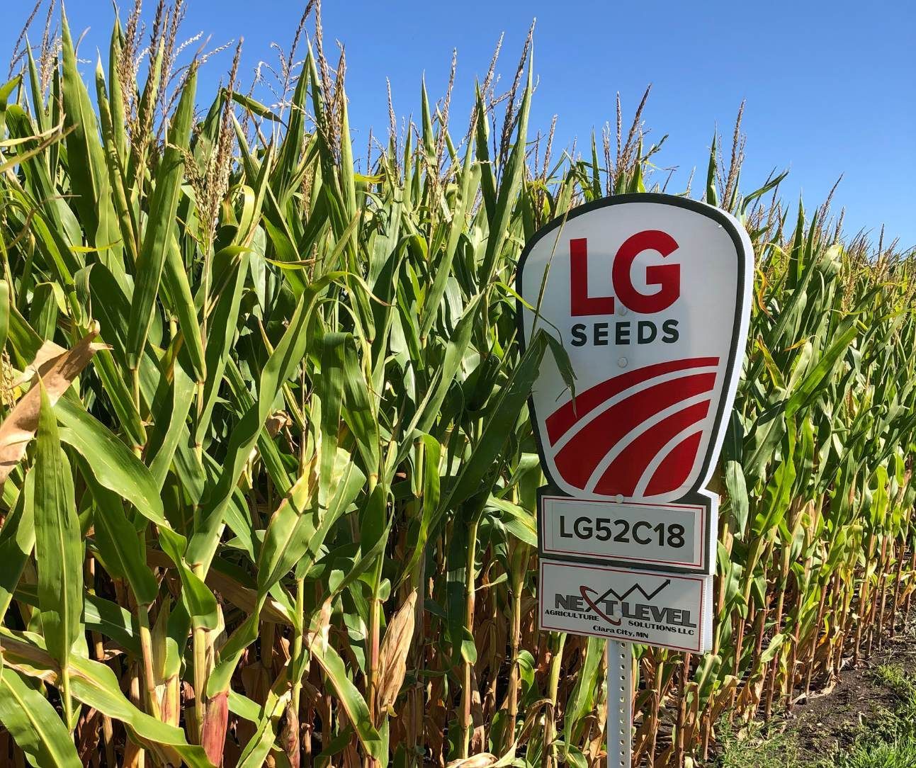 LG Seeds Dealer Next Level Ag Solutions