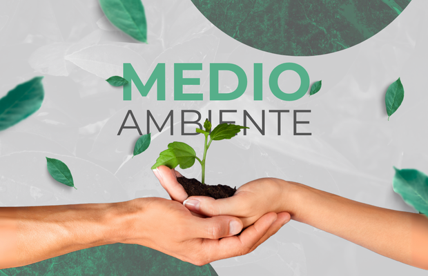 GRUPO SEMA