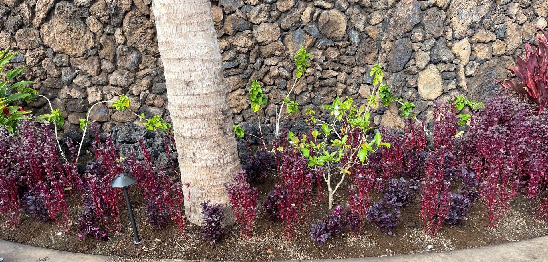 Garden Landscape Garden Landscape