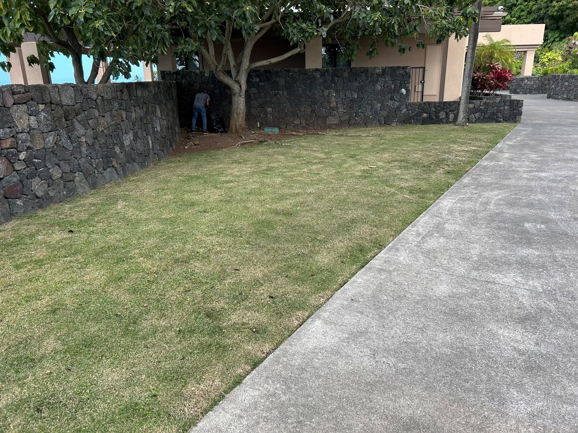 Residential Lawn