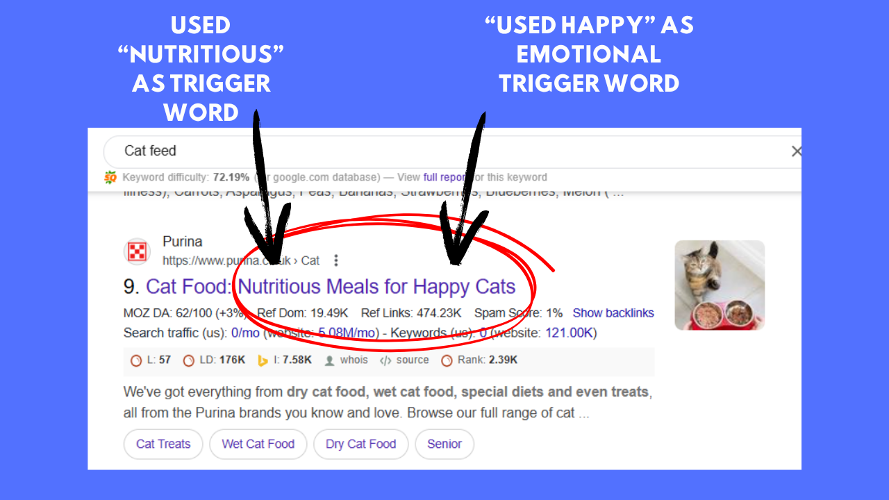Rank Your Website on Google: On-Page SEO Checklist for Higher Visibility
