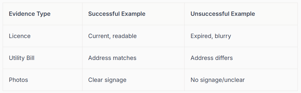Table showing examples of sentence types, successful examples, and unsuccessful examples.