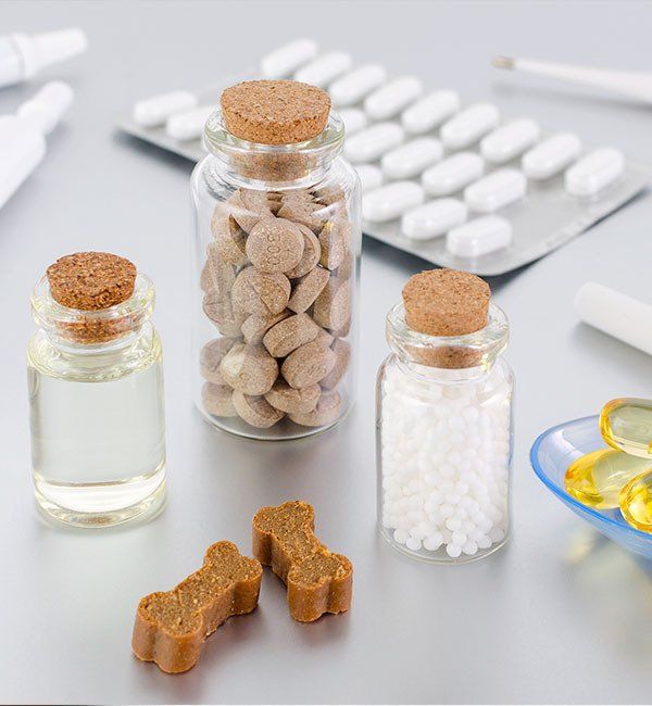 Various Medical Products for Animal — What To Expect in Darwin, NT