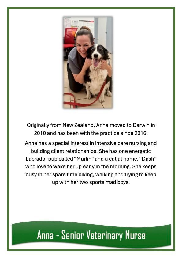 Anna — University Avenue Veterinary Hospital in Durack, NT