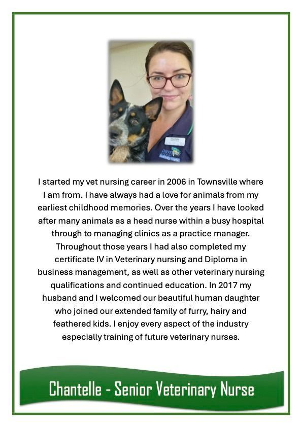 Chantelle — University Avenue Veterinary Hospital in Durack, NT