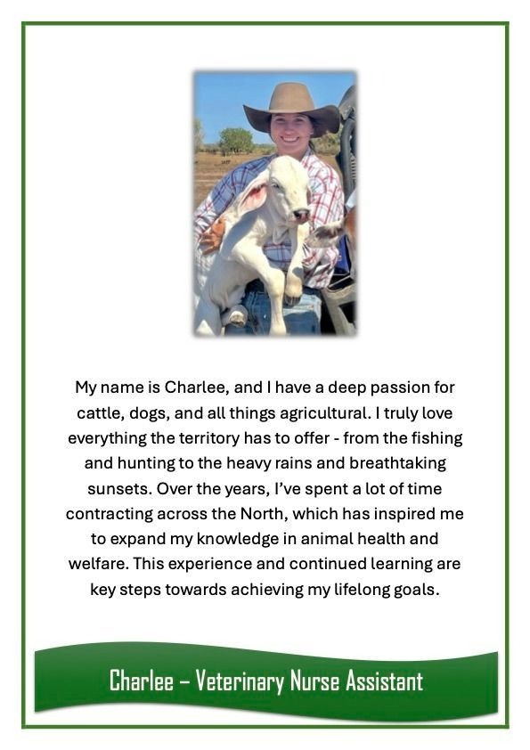 Charlee — University Avenue Veterinary Hospital in Durack, NT