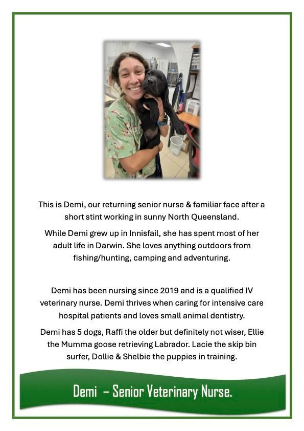 Demi — University Avenue Veterinary Hospital in Durack, NT