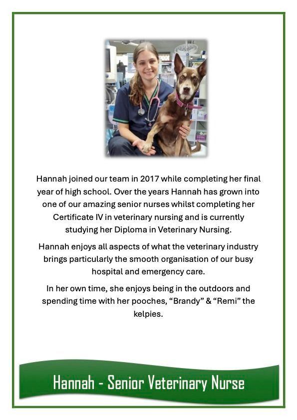 Hannah — University Avenue Veterinary Hospital in Durack, NT