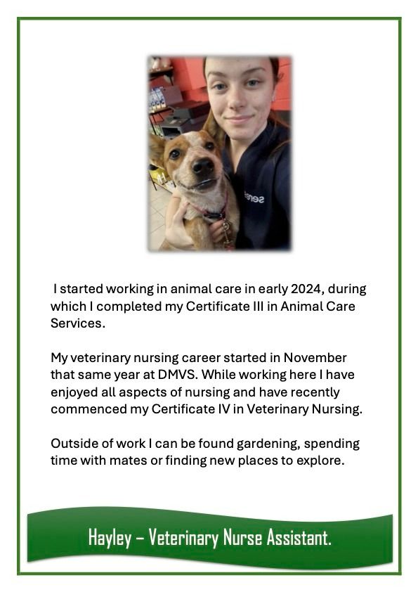 Hayley — University Avenue Veterinary Hospital in Durack, NT