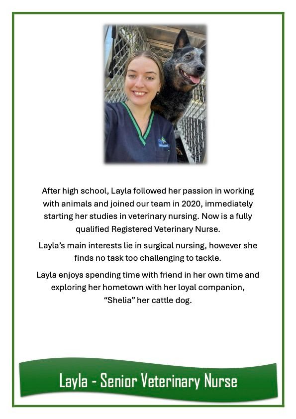 Layla — University Avenue Veterinary Hospital in Durack, NT
