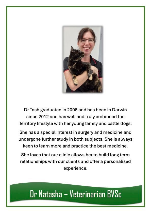 Dr Natasha — University Avenue Veterinary Hospital in Durack, NT